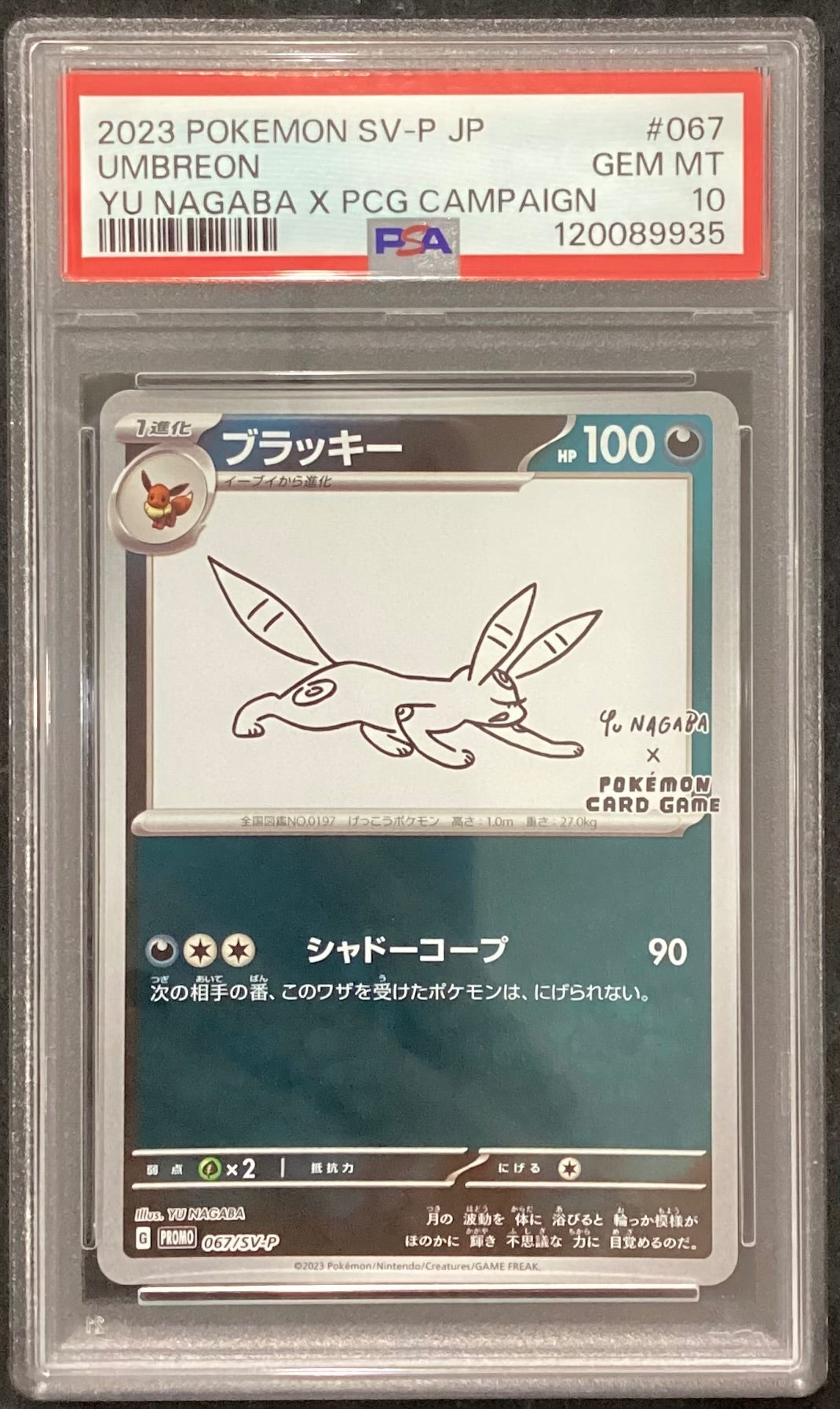 【中古A】 ブラッキー(YU NAGABA)【P】(067/SV-P)PSA10