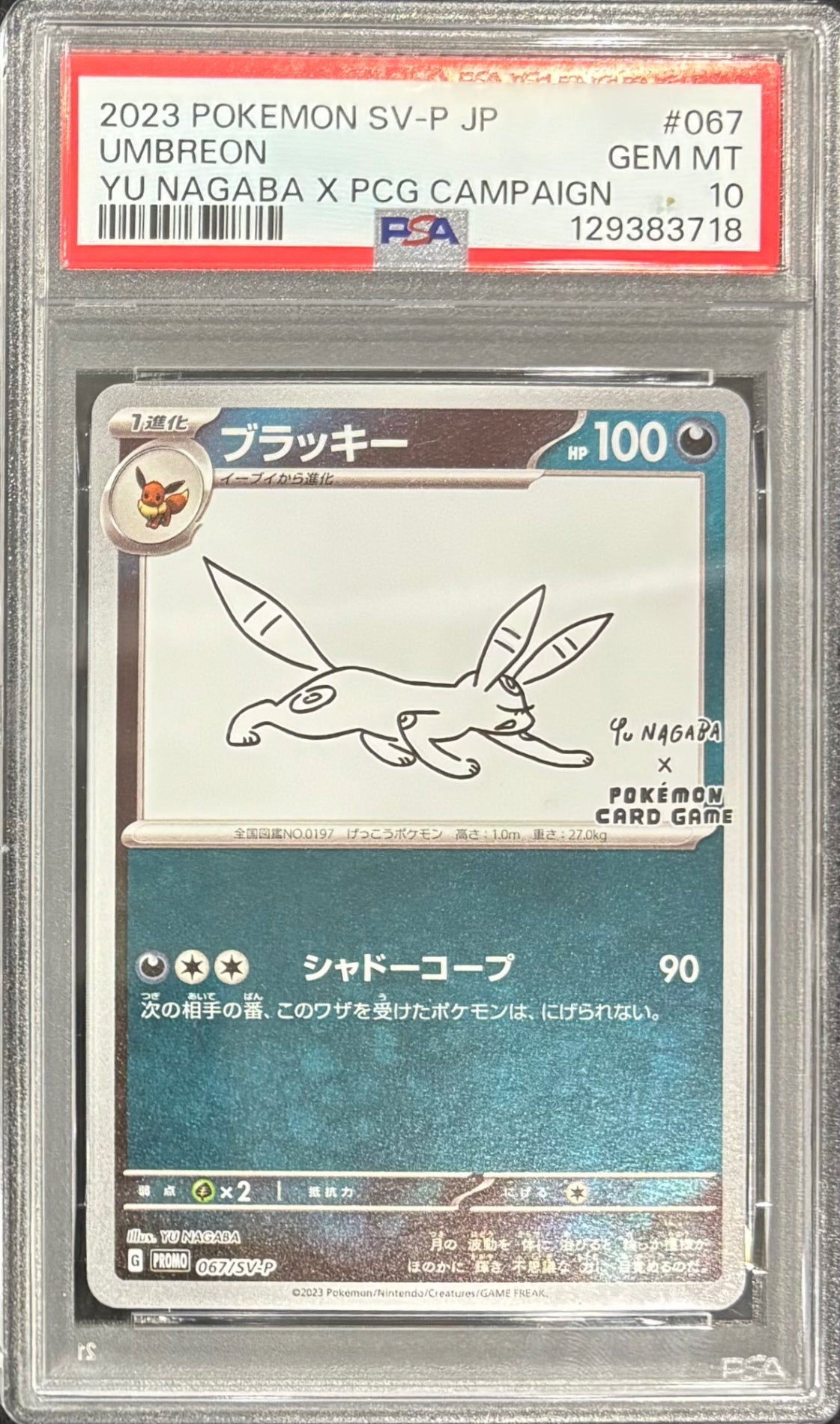 【中古A】 ブラッキー(YU NAGABA)【P】(067/SV-P)PSA10