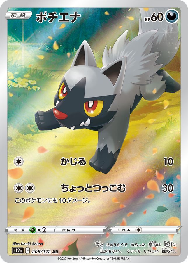 [Used A] Poochyena [AR] (208/172) PSA10