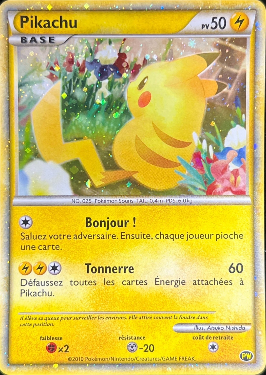 【psa10】ワールドピカチュウ　フランス 銀行振込のみ【中古A】 ピカチュウ(フランス)(PW)PSA10