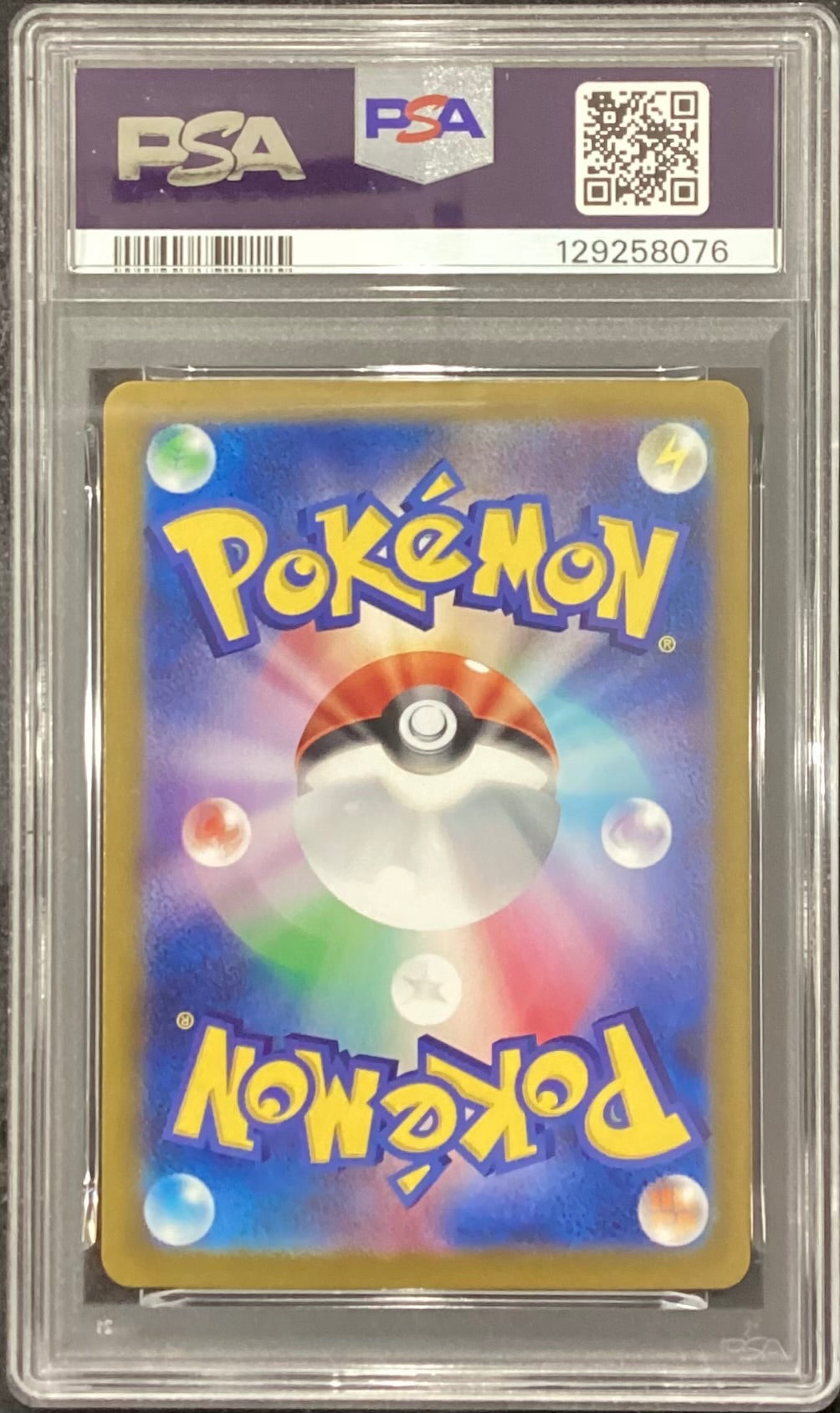 【中古A】 ブラッキーex【SAR】(217/187)PSA10