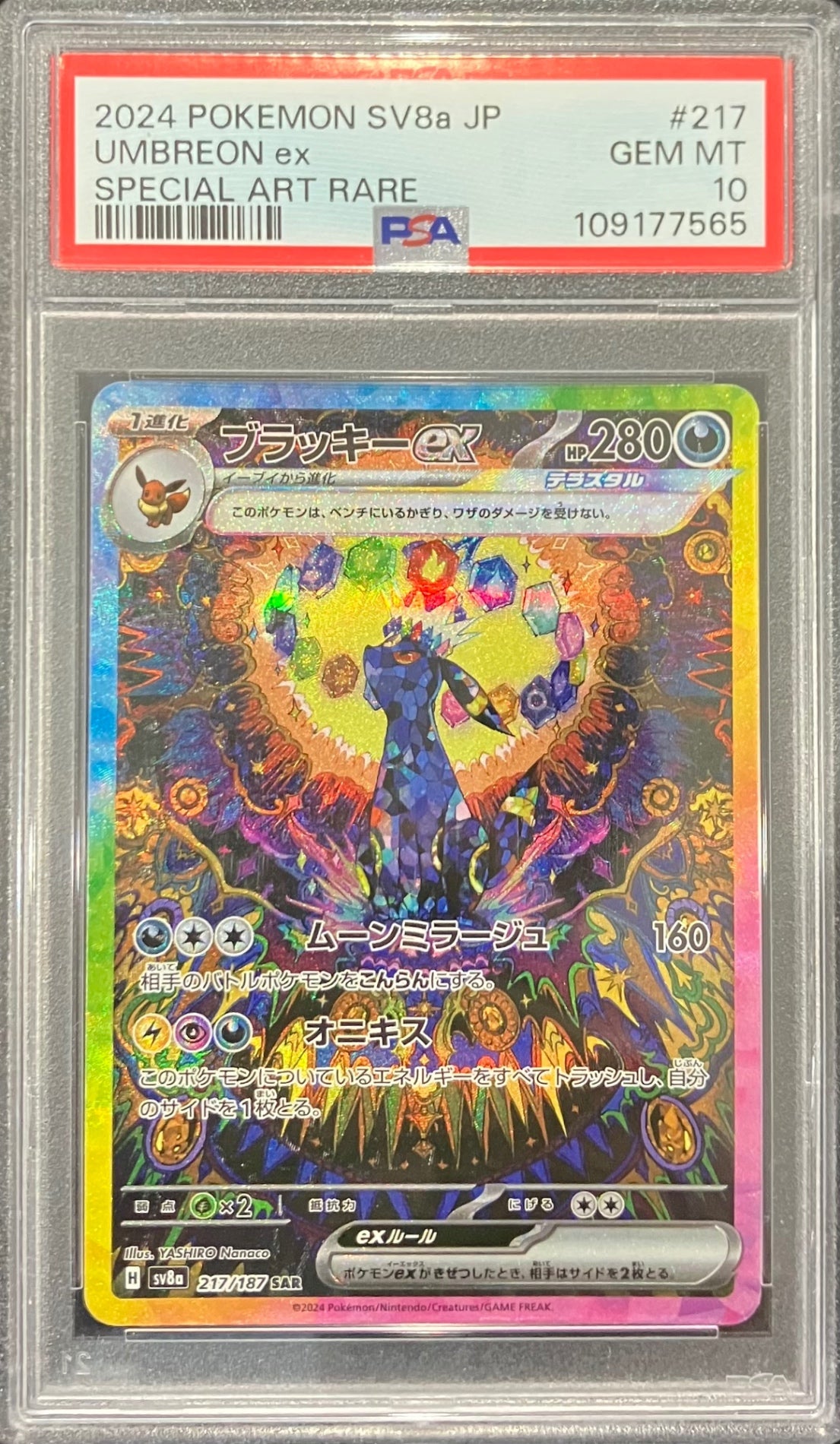 【中古B】 ブラッキーex【SAR】(217/187)PSA10