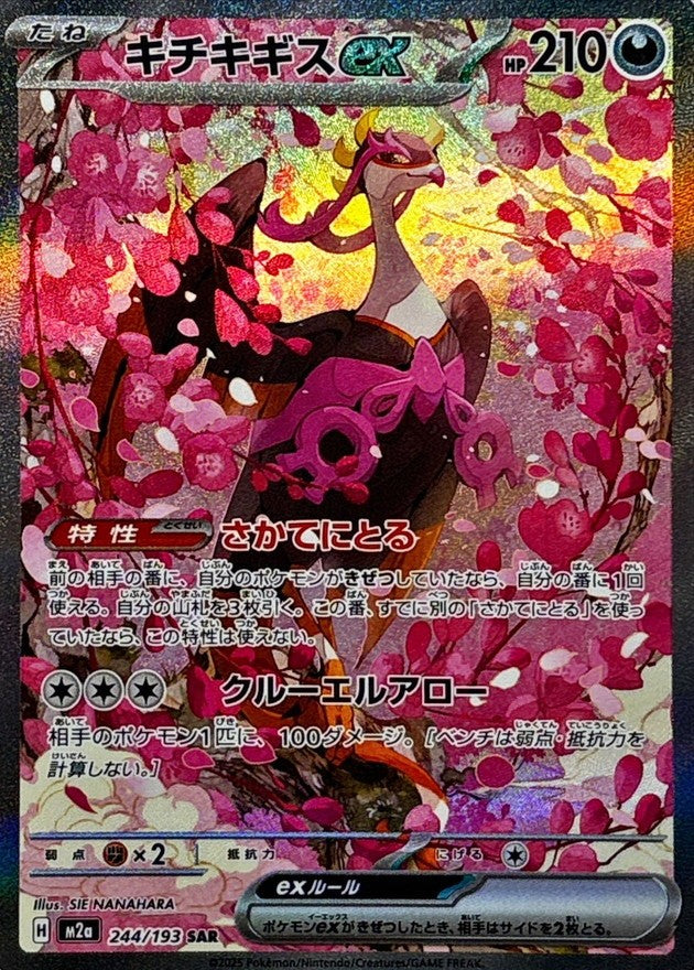 【PSA10】キチキギスex sar 中古A】 キチキギスex【SAR】(244/193)