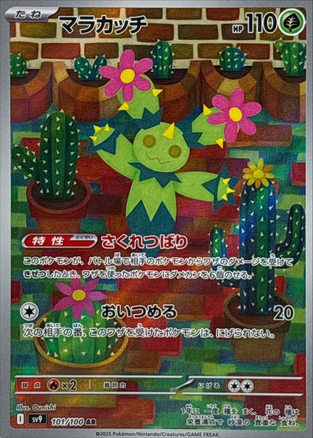 【中古A】 マラカッチ【AR】(101/100)
