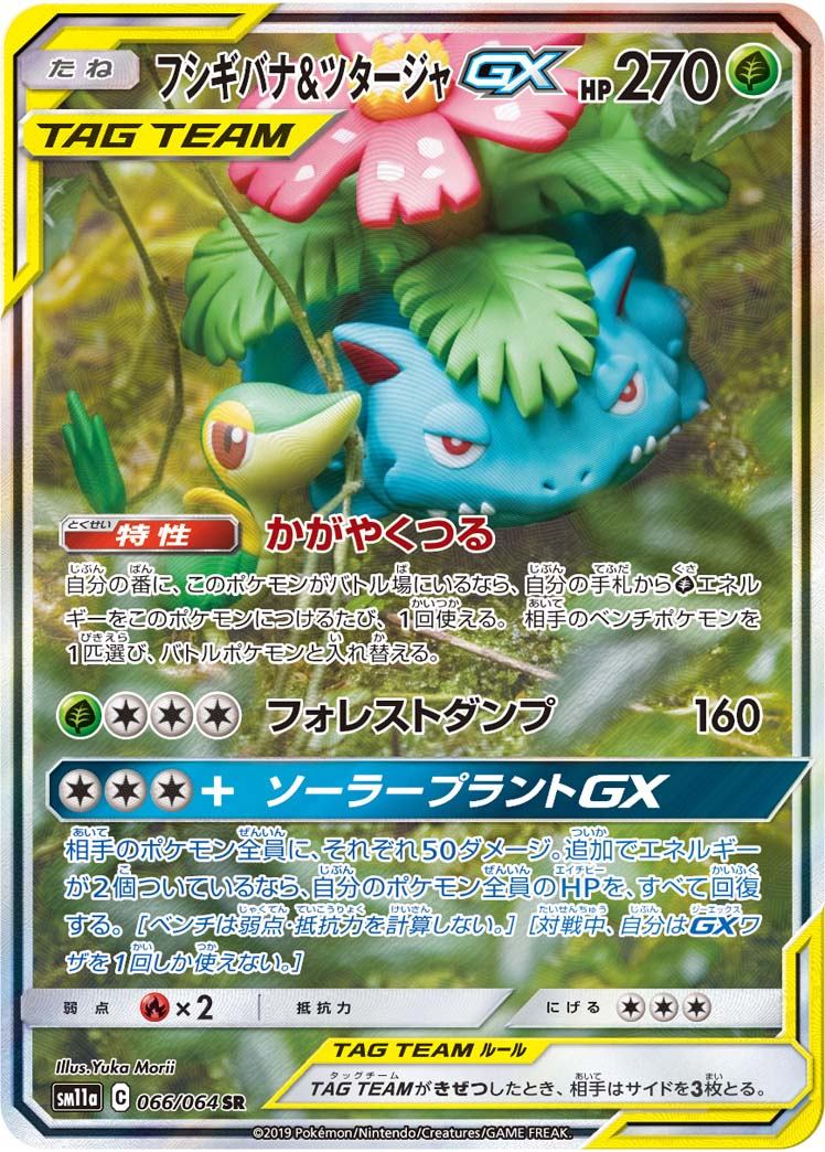 【中古B】 フシギバナ＆ツタージャGX(SA)【SR】（066/064）
