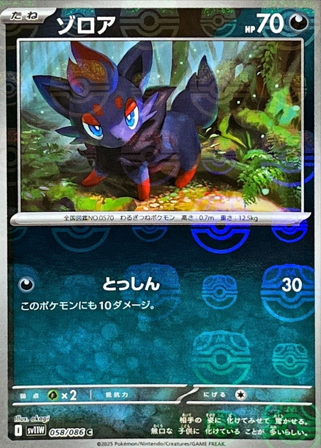 【中古A】 ゾロア(マスターボールミラー)【C】(058/086)