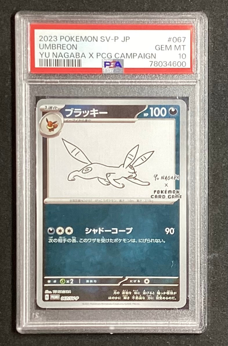 【中古A】 ブラッキー(YU NAGABA)【P】(067/SV-P)PSA10